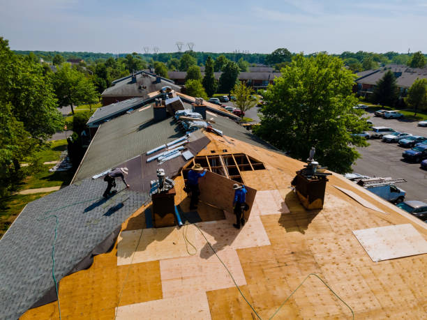 Trusted Metal Roofing service in Belmont, CA - Brentwood Metal Roofing